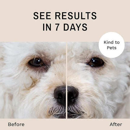 Eye Envy Dog Tear Stain Remover Starter Kit with ProPowder Brush | Stain Solution, Applicator Pads, Stain Powder and Small Applicator Brush | Lasts 30-45 Days