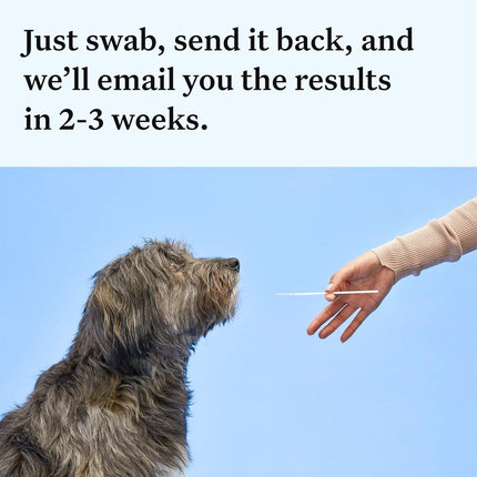 Wisdom Panel Essential Dog DNA Kit: Most Accurate Test for 365+ Breeds, 30 Genetic Health Conditions, 50+ Traits, Relatives, Ancestry