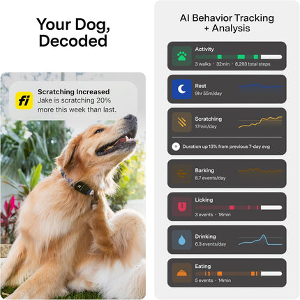 Fi New Series 3+ Smart Dog Tracker Collar [12 Month Membership Included] -Large