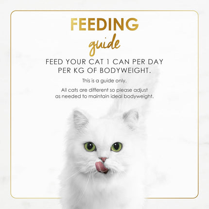 Fancy Feast Grilled Adult Wet Cat Food Grilled Salmon Feast in Gravy 24x85g