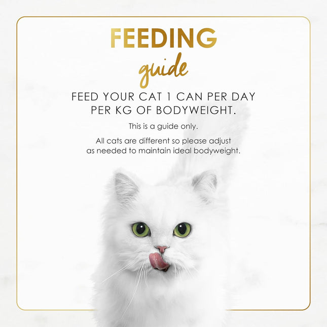 Fancy Feast Grilled Adult Wet Cat Food Grilled Salmon Feast in Gravy 24x85g