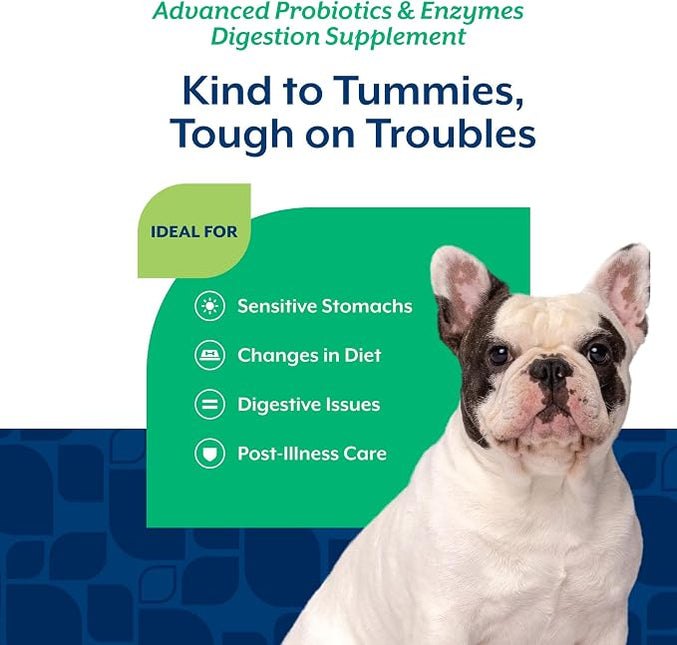 NaturVet Advanced Probiotics & Enzymes Dog Supplement - 120 Soft Chews