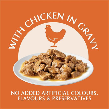 PURINA ONE Adult Wet Cat Food Indoor Chicken in Gravy Pouch 24x70g