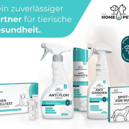 The Home Pet Lab 2 x Giardia Quick Test Dog & Cat - Giardia Test Reliable as Test for Intestinal Parasites and Diarrhoea - For Dogs and Cats with Giardia (2 x Test)