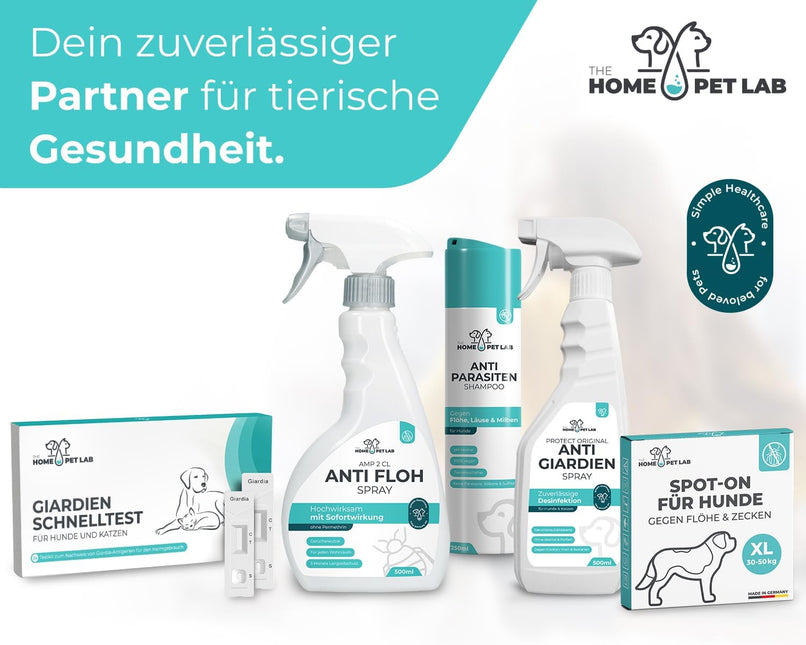 The Home Pet Lab 2 x Giardia Quick Test Dog & Cat - Giardia Test Reliable as Test for Intestinal Parasites and Diarrhoea - For Dogs and Cats with Giardia (2 x Test)