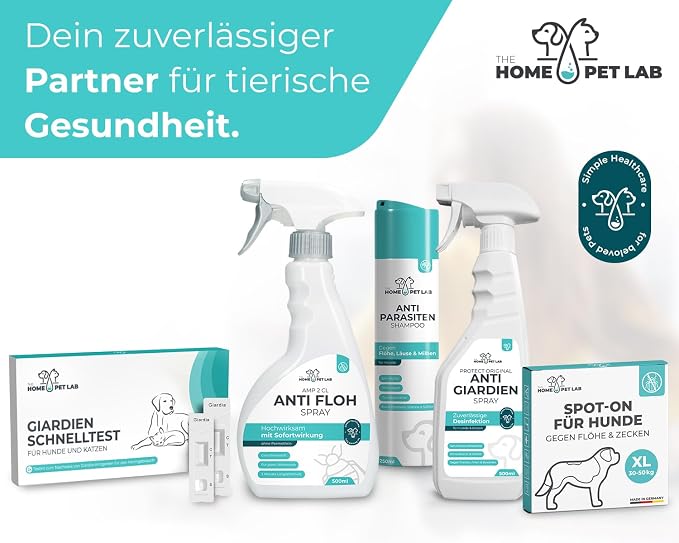 The Home Pet Lab 1x Giardia Quick Test Dog & Cat - Giardia Test Reliable as Test for Intestinal Parasites and Diarrhoea - for Dogs and Cats with Giardia