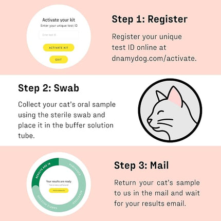 DNA MY DOG – Cat Allergy Test | Vet Recommended Test for Itchy, Sensitive Cats | Easy-to-Use Kit