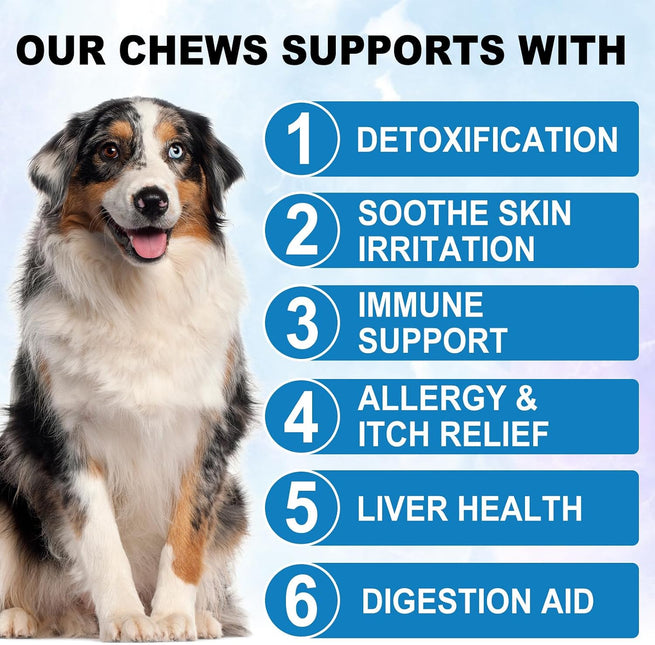 Allergy Relief Immune Chews for Dogs | Peking Duck Flavour | 150 Soft Chews