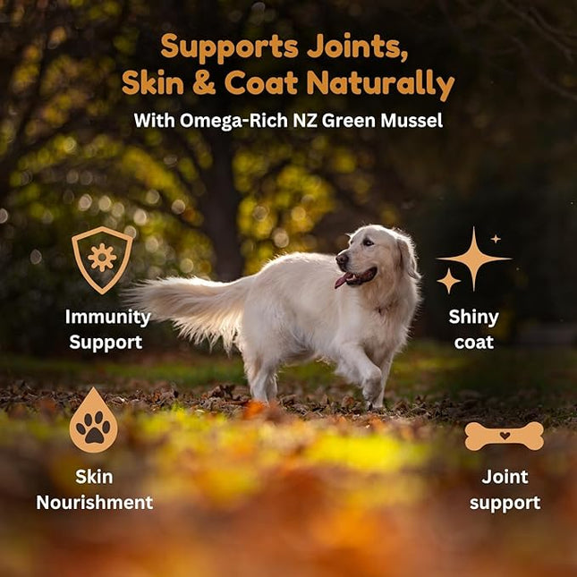 Wet Dog Food, Cage Free Chicken and NZ Green Mussel Formula, Grain-Free, 170g