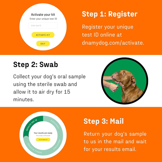 DNA My Dog Premium Dog DNA Test – Identify 350+ Breeds | Genetic Health & Trait Screening | Wolf DNA & Genetic Age | Easy At-Home Cheek Swab