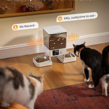 oneisall Automatic Cat Feeder for 2 Cats, 20 Cups/5L Automatic Cat Food Dispenser for Small Pets