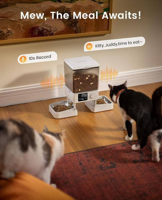 oneisall Automatic Cat Feeder for 2 Cats, 20 Cups/5L Automatic Cat Food Dispenser for Small Pets