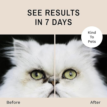 Eye Envy Tear Stain Wipes for Cats. Textured to Gently Clean Tear Stains.USA Made. 60 Cat Eye Wipes
