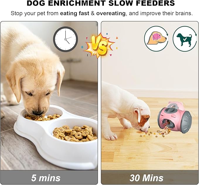 Pet Treat Dispenser for Cats & Small/Medium Dogs - Interactive Puzzle Feeder Toy