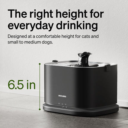 PETLIBRO Upgrade Cat Water Fountain Stainless Steel Tray, Dockstream 2 Cat Fountain Indoor, 3L/101oz 5g