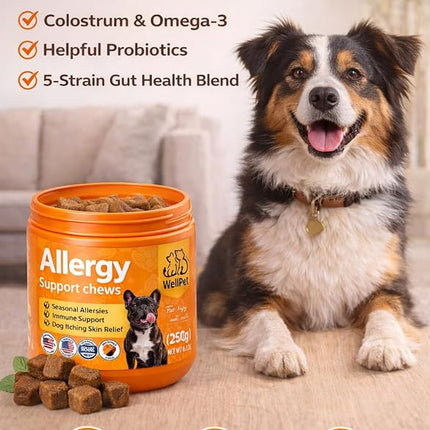 WellPet Allergy Support Chews for Dogs and Cats, Chicken Flavour, Immune Support, Itching Skin Relief, 250g
