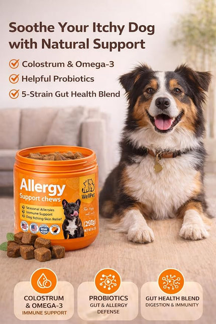 WellPet Allergy Support Chews for Dogs and Cats, Chicken Flavour, Immune Support, Itching Skin Relief, 250g