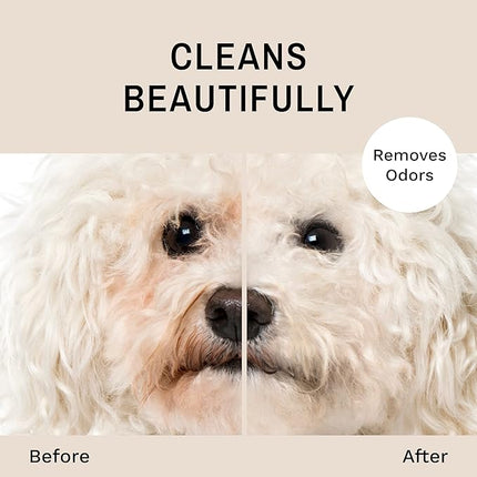 Eye Envy Tear Stain Facial Cleanser for Dogs and Cats. Washes Away Crusty Eye Debris, Eye Boogers, Eye Discharge. Tearless Foaming Formula. Cleans Tear Stains. All-Natural. 1 US Gallon