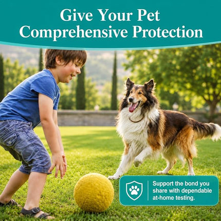 1Test Fast Giardia Test Kit for Dogs and Cats - for Home