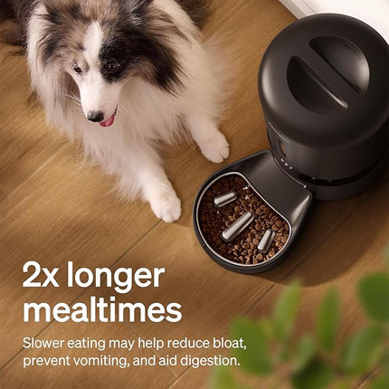 PETLIBRO Granary Automatic Cat Feeder with 1080p HD
