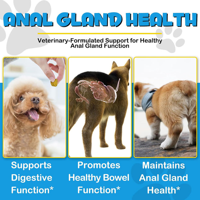 Anal Gland Support Soft Chews for Dogs - Pumpkin, Probiotics & Digestive Enzymes - Beef Flavour, 150 Count (375g)