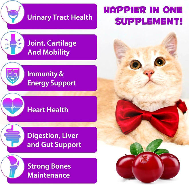 15-in-1 Cat Multivitamin Liquid Drops 60mL