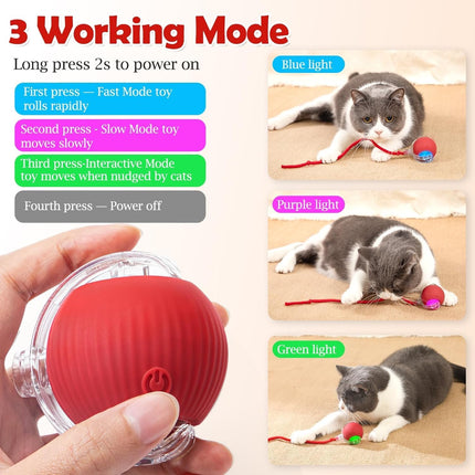 Smart Chase Teaser Ball