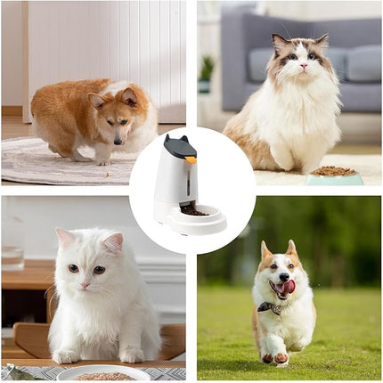 Automatic Cat Feeder,Gravity-Controlled Feeder and Dispenser