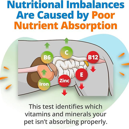 5Strands Pet Food Intolerance, Environmental & Heavy Metal Sensitivity, and Nutritional Imbalance Test, 1036 Items Tested, Cat & Dog Gut Health Test for All Breeds & Ages, Results in 4 Days