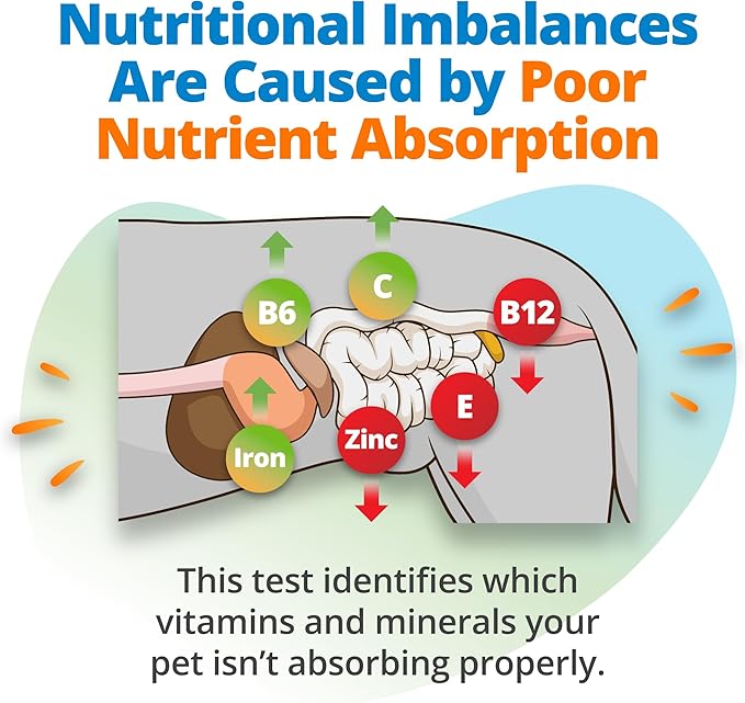 5Strands Pet Food Intolerance, Environmental & Heavy Metal Sensitivity, and Nutritional Imbalance Test, 1036 Items Tested, Cat & Dog Gut Health Test for All Breeds & Ages, Results in 4 Days