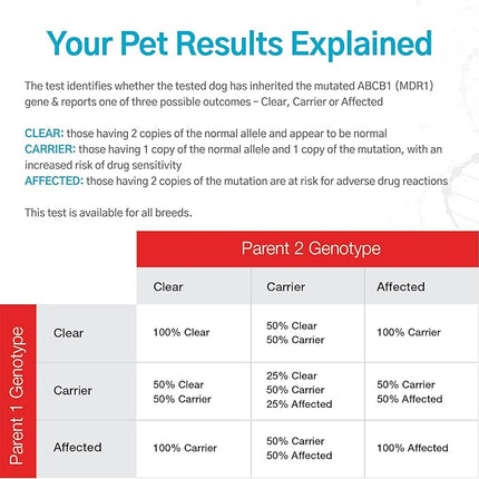 Dog Multidrug Resistance 1 (MDR1) DNA Test Kit | Home Sample Collection Kit for 1 Canine | Puppy MDR1 Testing Kits | Results in 7 Working Days | A Complete Kit with No Extra Fees