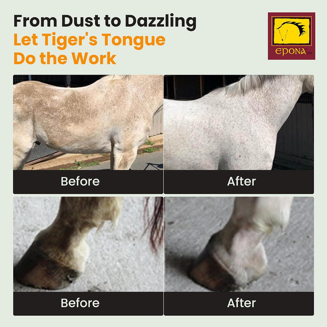 Epona Tiger’s Tongue Horse Groomer – Deep Cleaning Scrubber & Massager for Horses
