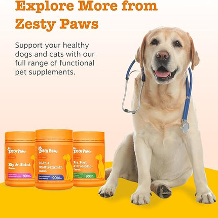 Zesty Paws Pre, Post & Probiotic Chews & Treats for Dogs, Pumpkin Flavour w/Epicor Postbiotics for Immune Support, Bacillus Subtilis & Inulin for Gut Health, All Breeds & Ages, 50 Pieces