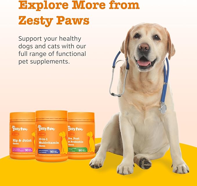 Zesty Paws Pre, Post & Probiotic Chews & Treats for Dogs, Pumpkin Flavour w/Epicor Postbiotics for Immune Support, Bacillus Subtilis & Inulin for Gut Health, All Breeds & Ages, 50 Pieces