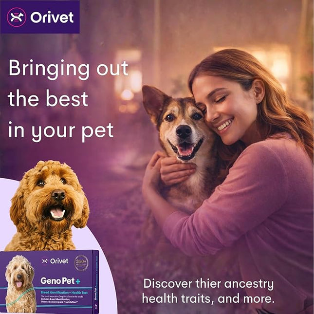 ORIVET GenoPet Plus Dog DNA Test Kit | 365+ Breed Identification & 330+ Genetic Health Conditions Included | Personalized Life Plan | At-Home Cheek Swab | Results in Approximately 3–5 Weeks