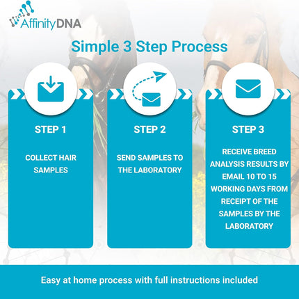 Horse Breed Test Kit USA | At Home Equine DNA Analysis Service | Covers Almost 90 Horse Breeds