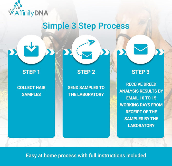 Horse Breed Test Kit USA | At Home Equine DNA Analysis Service | Covers Almost 90 Horse Breeds