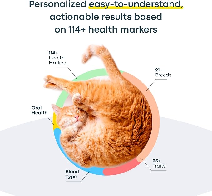 Basepaws Cat DNA Test Kit, Breed, Health & Dental Insights, 114 DNA Traits
