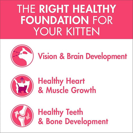 4+ PURINA ONE Kitten Dry Cat Food Immune Defence Plus+ Chicken 1.4kg