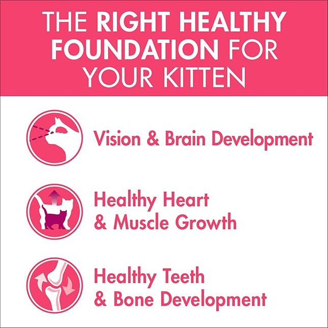 4+ PURINA ONE Kitten Dry Cat Food Immune Defence Plus+ Chicken 1.4kg