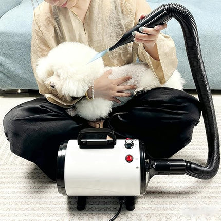 Professional Pet Grooming Dryer, 3800W High Velocity Force Blower with Adjustable Speed and Temperature Control, Multiple Nozzles, White and Black
