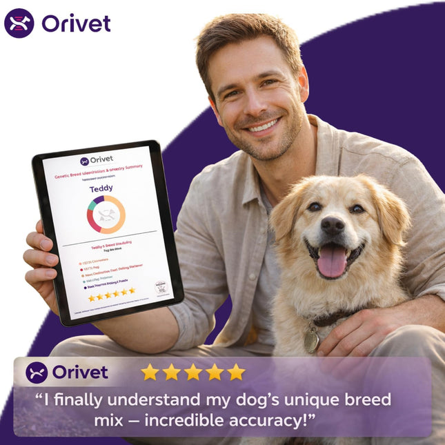 ORIVET GenoPet Plus Dog DNA Test Kit | 365+ Breed Identification & 330+ Genetic Health Conditions Included | Personalized Life Plan | At-Home Cheek Swab | Results in Approximately 3–5 Weeks