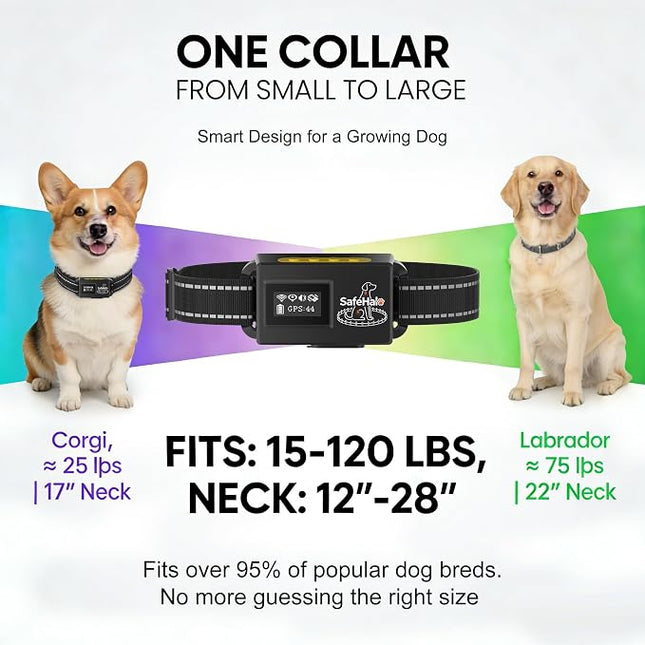 GPS Wireless Dog Fence System – Electric Anti Escape Collar, No Subscription, 3 Modes,Circular 65-9,840 ft & Irregular Fence