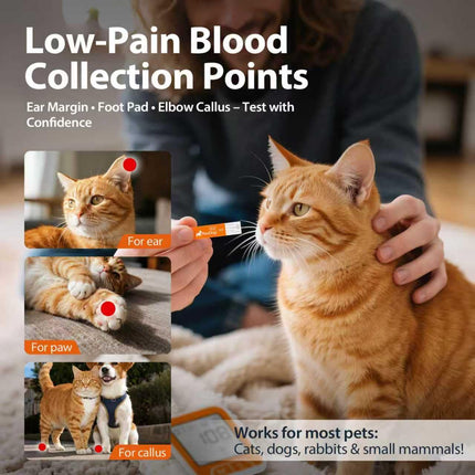 Pet Blood Glucose Monitor Kit for Dogs & Cats