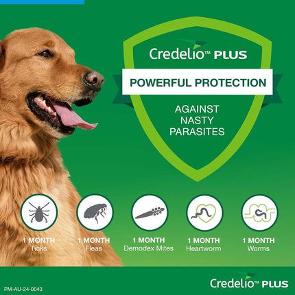 Credelio Plus Ticks, Fleas, Heartworm & Worms for Dogs 22-45kg - 3 Pack