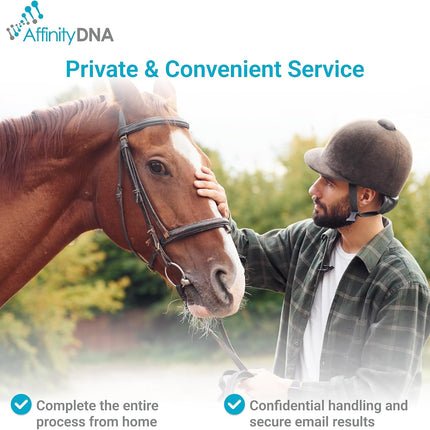 Horse Breed Test Kit USA | At Home Equine DNA Analysis Service | Covers Almost 90 Horse Breeds