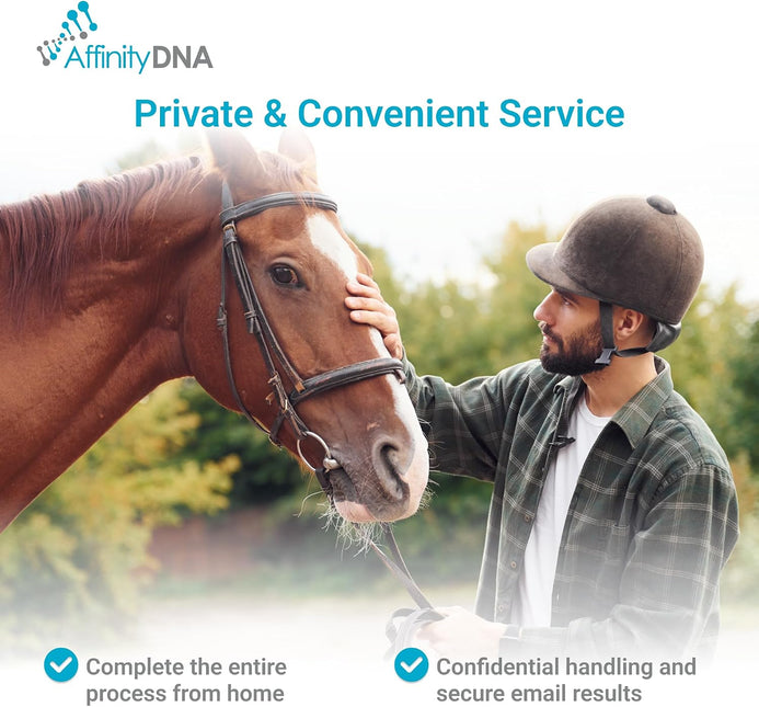Horse Breed Test Kit USA | At Home Equine DNA Analysis Service | Covers Almost 90 Horse Breeds