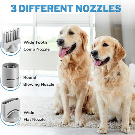 Lightweight Portable Dog Hair Dryer for Small Medium Large Dogs with 3 Nozzle