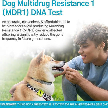 Dog Multidrug Resistance 1 (MDR1) DNA Test Kit | Home Sample Collection Kit for 1 Canine | Puppy MDR1 Testing Kits | Results in 7 Working Days | A Complete Kit with No Extra Fees