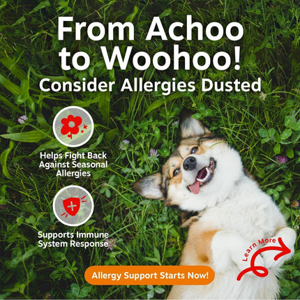 Pet Purely Dog Allergy Relief and Immune Chews Beef Flavour,120 Chews